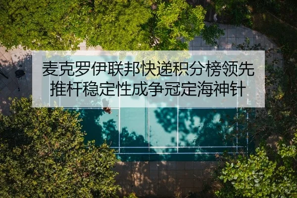 mai-ke-luo-yi-lian-bang-kuai-di-ji-fen-bang-ling-xian-tui-gan-wen-ding-xing-cheng-zheng-guan-ding-hai-shen-zhen-2-686.jpg