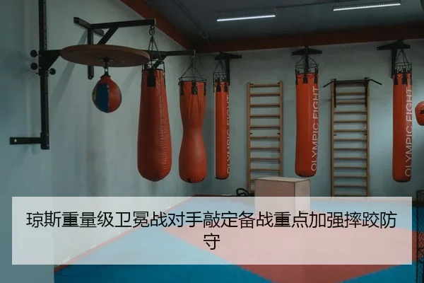 qiong-si-zhong-liang-ji-wei-mian-zhan-dui-shou-qiao-ding-bei-zhan-zhong-dian-jia-qiang-shuai-jiao-fang-shou-2-887.jpg